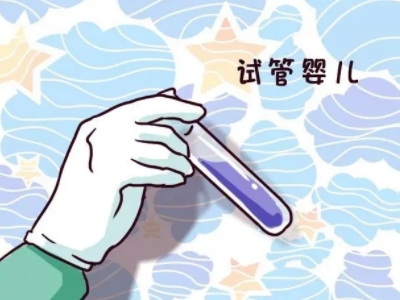 胚胎操作